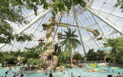 De Vossemeren vs Erperheide : Quel est le meilleur Centers Parc ?