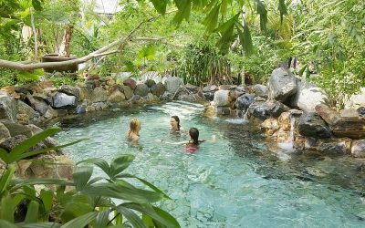 Terhills Resort vs Erperheide : Quel est le meilleur Centers Parc ?