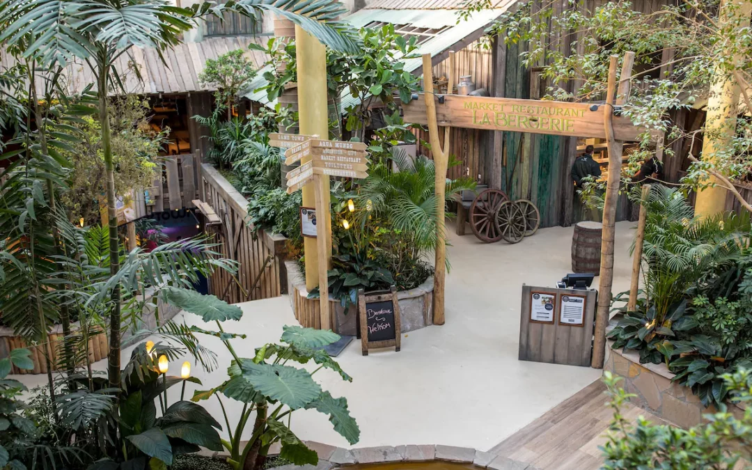 Les Ardennes vs De Vossemeren : Quel est le meilleur Center Parcs ?